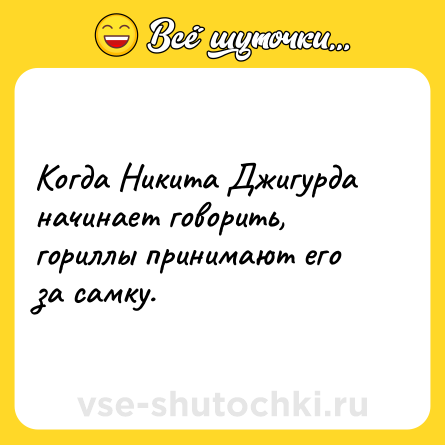 Шутка: Когда Никита Джигурда начинает говорить, гориллы принимают его за самку.
