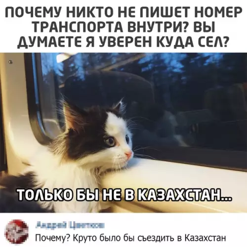 Смешная картинка №526335