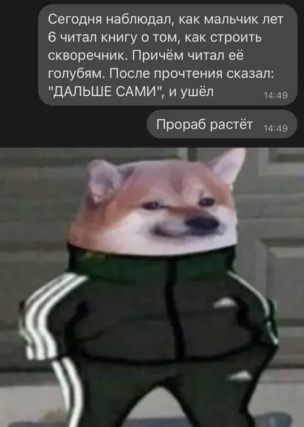 Смешная картинка №613597