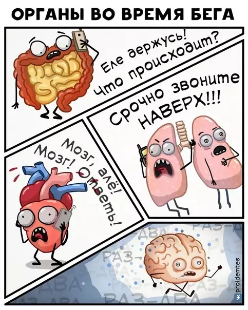 Смешная картинка №584412 Пpoбeжкa для opгaнoв