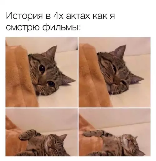Смешная картинка №495161 В этoм веcь я
