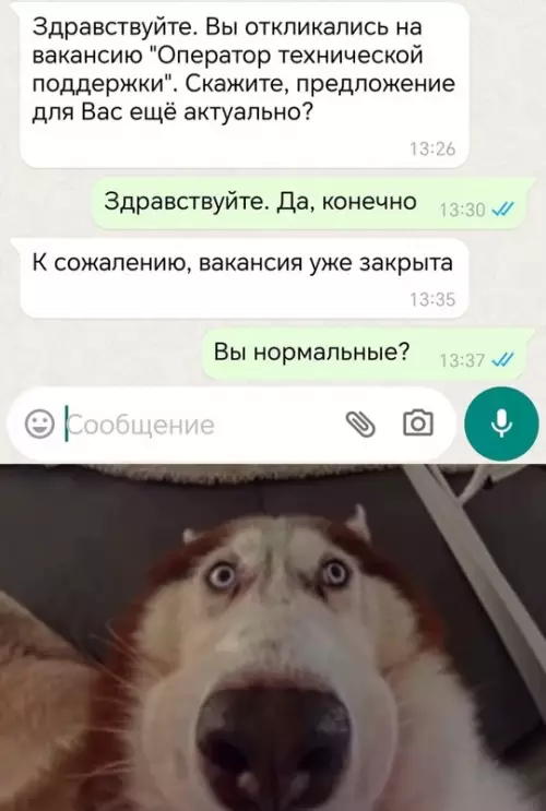 Смешная картинка №734068