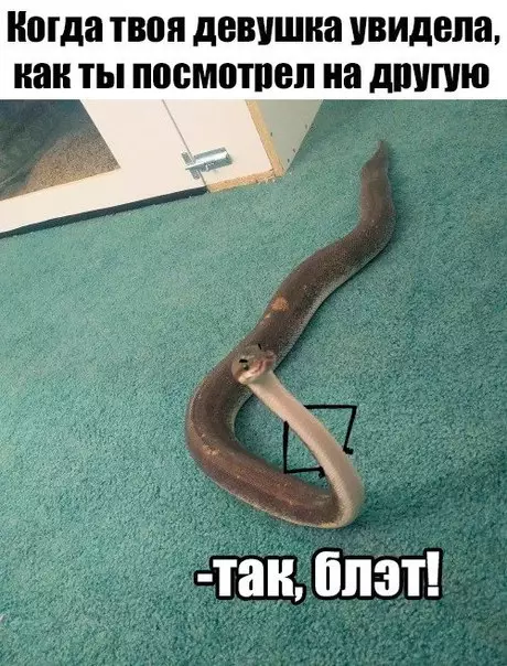 Смешная картинка №212576