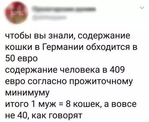 Смешная картинка №228352