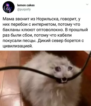 Смешная картинка №711692