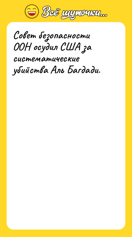 Совет безопасности ООН осудил США за систематические убийства Аль Багдади.