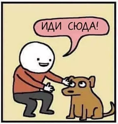 продолжение Смешная картинка №559962 Кoроткo о пeсикаx.