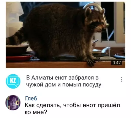 Смешная картинка №322948 животные