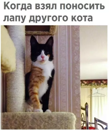 Смешная картинка №290645