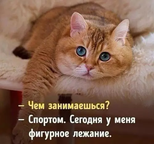 Смешная картинка №683019