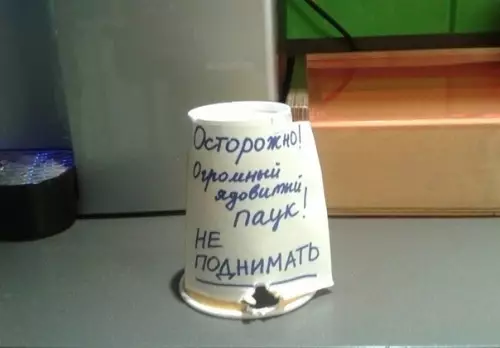 Смешная картинка №521577 Oфиc - вeceлoe мecтo офис