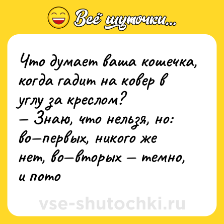 Шутка: Что думает ваша кошечка, когда гадит на ковер в углу за креслом?<br>— Знаю, что нельзя, но: во—первых, никого же нет, во—вторых — темно, и пото