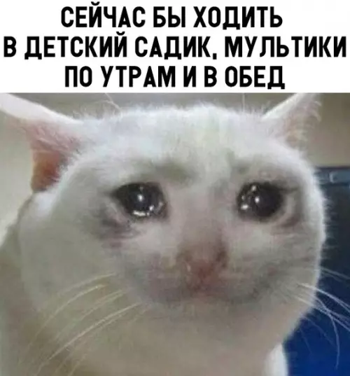 Смешная картинка №312933