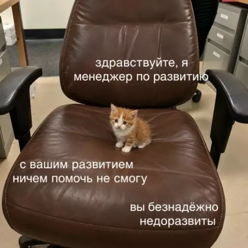 Когда зашел к менеджеру по развитию 🐱📉 - здравствуйте, я менеджер по развитию с вашим развитием ничем помочь