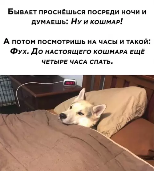 Смешная картинка №537787