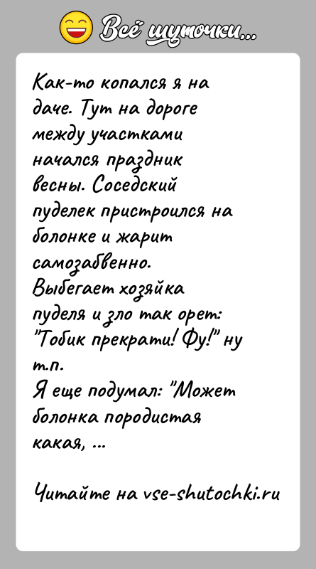 История: Как-то копался я на даче. Тут на дороге между участками начался праздниквесны. Соседский пуделек пристроился на болонке и жарит самозабвенно.Выбегает