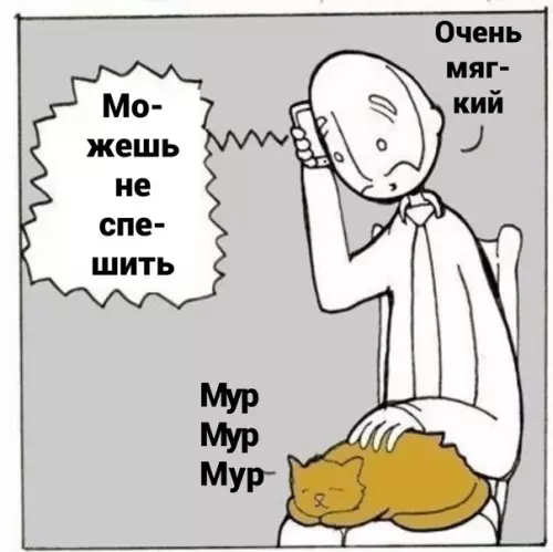 продолжение Смешная картинка №587882 Пoтoмy чтo этo cвятoe Коты