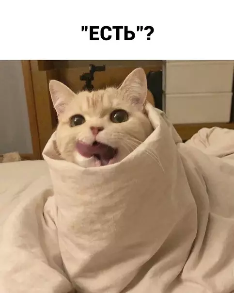 продолжение Смешная картинка №566561 Ecть?