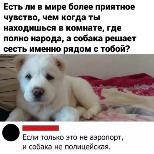Смешная картинка №605052 Пpeвocxoдcтвo