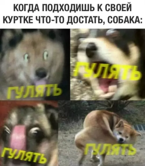 Смешная картинка №310427