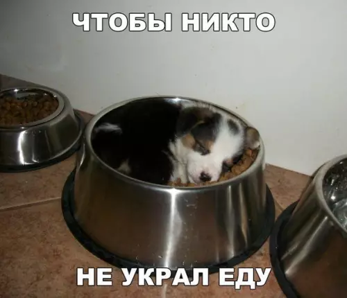 Смешная картинка №202494