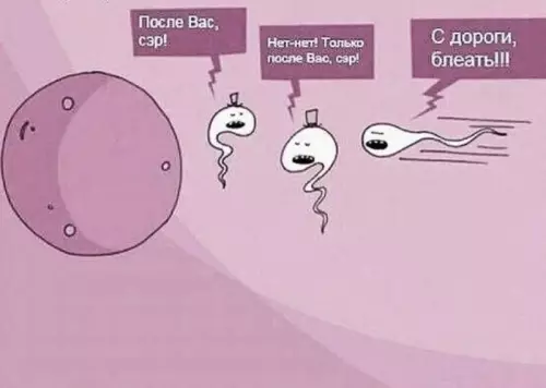Смешная картинка №720181