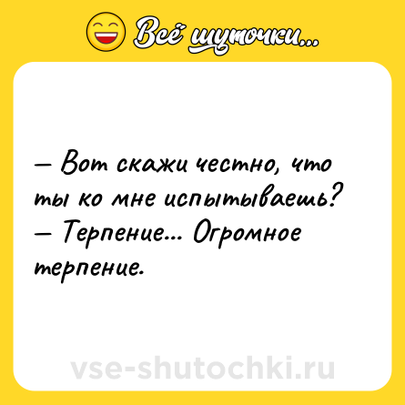 Шутка: — Вот скажи честно, что ты ко мне испытываешь? <br>— Терпение... Огромное терпение.