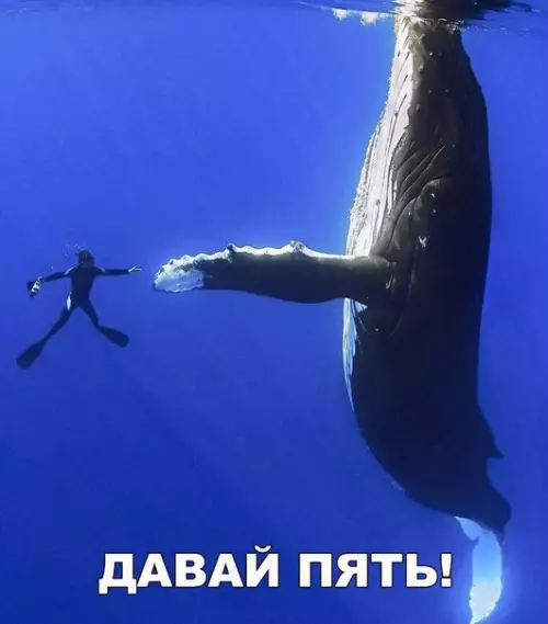 Смешная картинка №177543