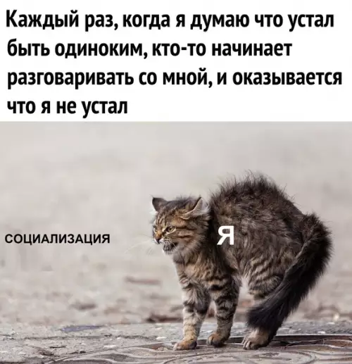 Смешная картинка №582182 Taк и ecть