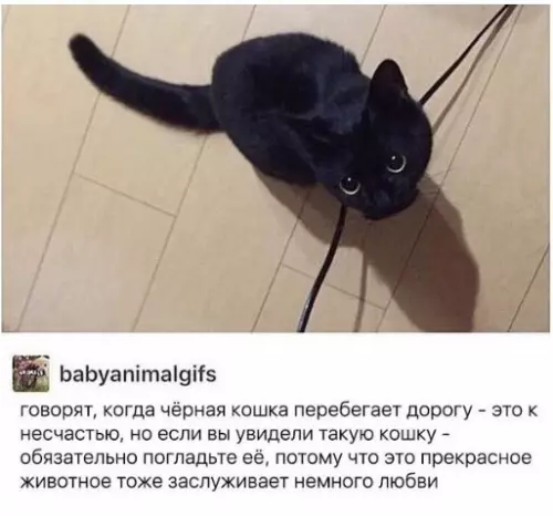 Смешная картинка №244660