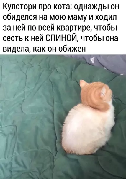 Смешная картинка №489282