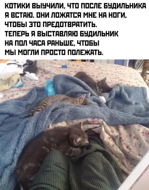 Смешная картинка №454522