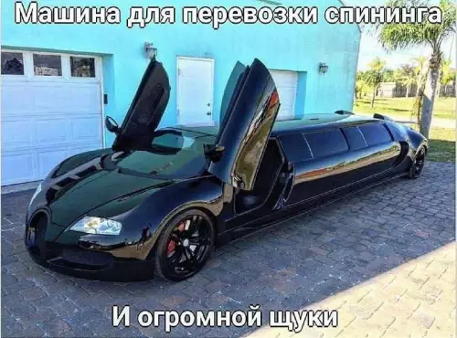 Лимзин для рыбалки? Это по моей части! 🎣 - Машина для перевозки спининга И огромной щуки