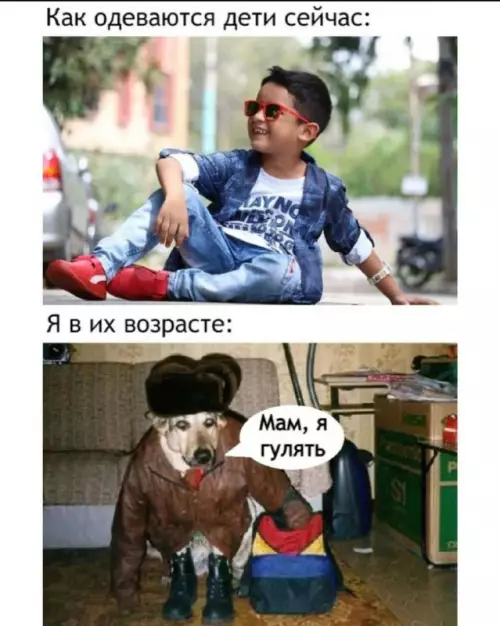Смешная картинка №702986