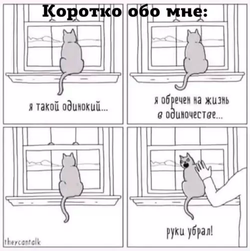 Смешная картинка №445245 кошки