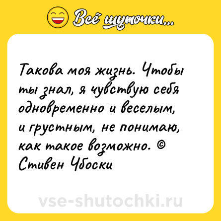 Шутка: Такова моя жизнь. Чтобы ты знал, я чувствую себя одновременно и веселым, и грустным, не понимаю, как такое возможно. © Стивен Чбоски