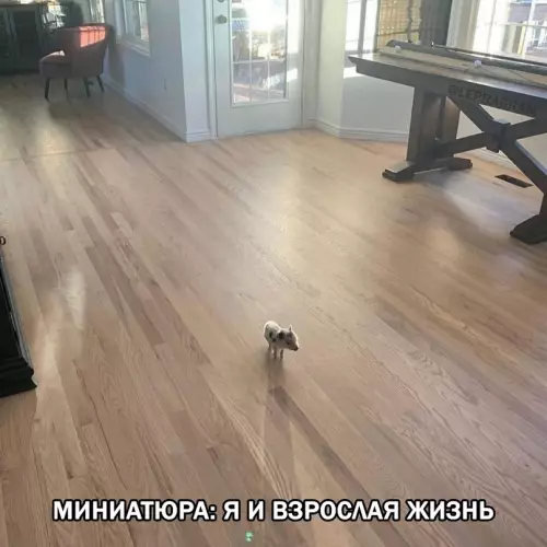 Смешная картинка №682410
