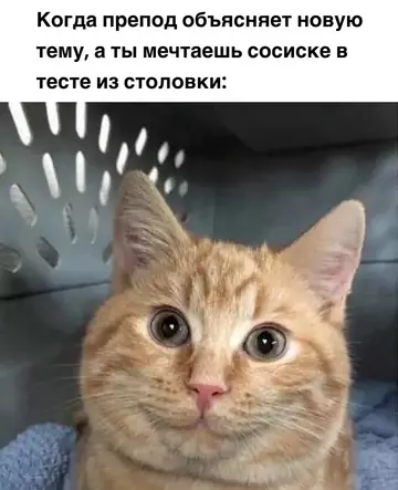 Смешная картинка №738174