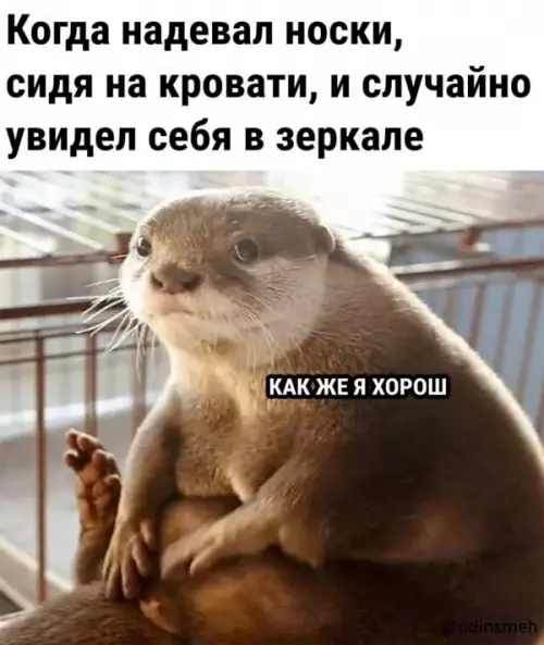 Смешная картинка №656949