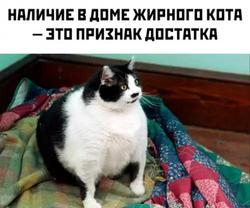 Смешная картинка №716165