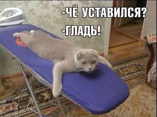 Смешная картинка №309143