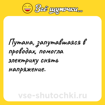 Шутка: Путана, запутавшаяся в проводах, помогла электрику снять напряжение.