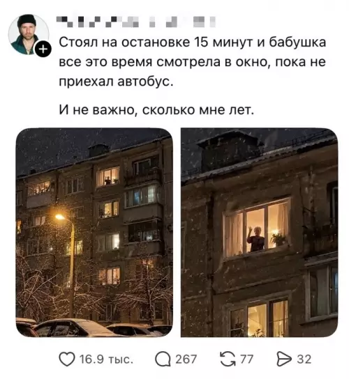 Бабуля на связи! 👵👀 - Стоял на остановке 15 минут и бабушка все это время