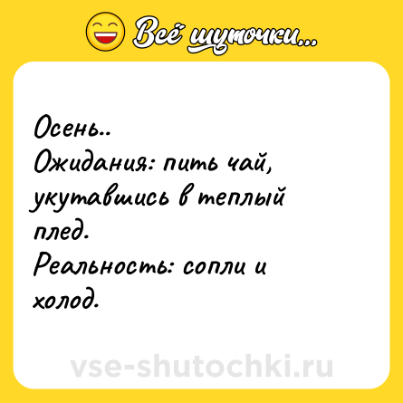 Шутка: Осень.. <br>Ожидания: пить чай, укутавшись в теплый плед.<br>Реальность: сопли и холод.