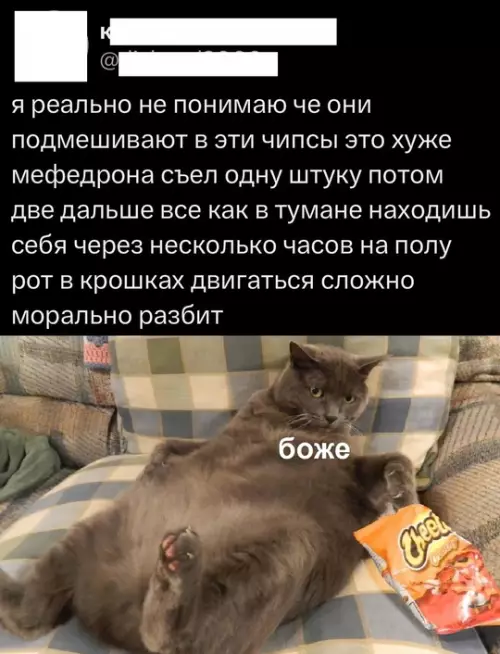 Смешная картинка №773627