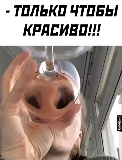 продолжение Смешная картинка №565566