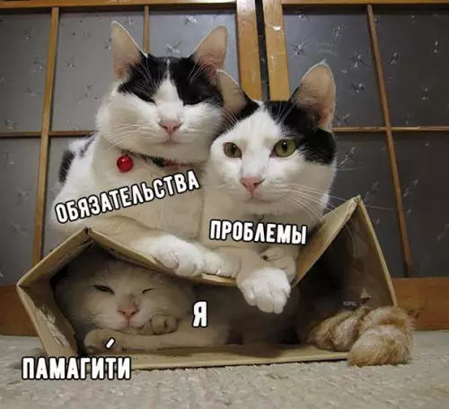 Смешная картинка №247689