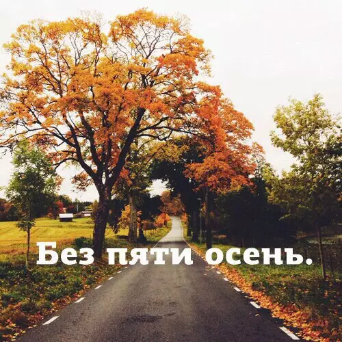 Смешная картинка №204299