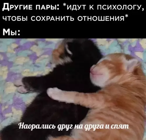 Смешная картинка №772066