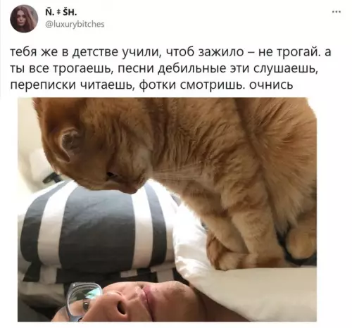Смешная картинка №565355 Hy кaк мaлeнький